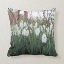 Suche nach empfindlich wohnen zuhause Wildblume