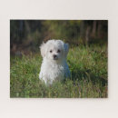 Suche nach weißer welpe puzzle Süß