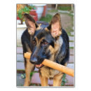 Suche nach spielerisch tischkarten Hunde