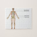 Suche nach körperteil puzzle Kleinunternehmen