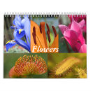 Suche nach mit blumen kalender Pflanze