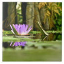 Suche nach teiche fliesen Keramik