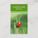 Suche nach marienkäfer visitenkarten Insekten