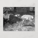 Suche nach antilope postkarten Western fotografien