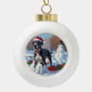 Suche nach doggen alle ornamente Jede person