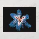 Suche nach flor postkarten Blau