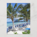 Suche nach schilf postkarten Strand