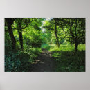 Suche nach waldweg poster Wälder