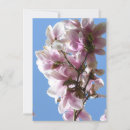 Suche nach pedal karten Magnolie