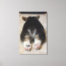 Suche nach walisercorgi kunst Niedlich