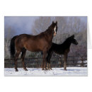 Suche nach stutenfohlen postkarten Stehend