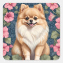 Suche nach pomeranian aufkleber Generativer inhalt