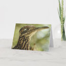 Suche nach roadrunner karten Arizona