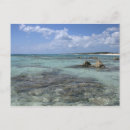 Suche nach cozumel postkarten Strand