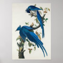 Suche nach teller poster Retro