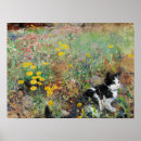 Suche nach schöne tiere poster Katze