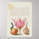 Suche nach vintage flowers poster Illustration