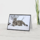 Suche nach kumpel karten Katzen