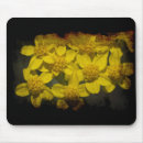 Suche nach gelbe wildblumen mousepads Foto