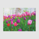 Suche nach tulpen seidenpapier Jede person