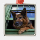 Suche nach wachhund ornamente Haustier