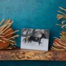 Suche nach laufen fotoplatten Muschel