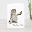 Suche nach katzenbilder karten Kätzchen