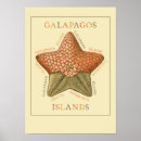 Suche nach galapagos poster Ecuador