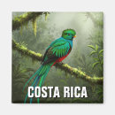 Suche nach quetzal Regenwald