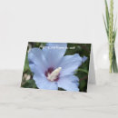 Suche nach heiler postkarten Blumen