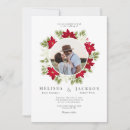 Suche nach poinsettia Blumenreich