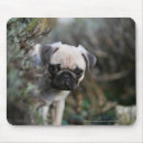 Suche nach kitz mousepads 12 wochen