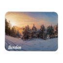 Suche nach schneebedeckte bäume magnete Wald