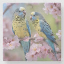 Suche nach budgie untersetzer Haushalt