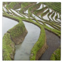 Suche nach terrassen fliesen Landschaft