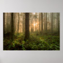 Suche nach zedernbaum kunst Wald