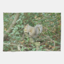 Suche nach niedliche eichhörnchen geschirr tücher Lustig