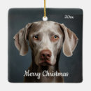 Suche nach weimaraner ornamente Weihnachten