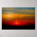 Suche nach extra groß poster Natur