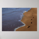 Suche nach barfuß poster Strand