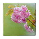 Suche nach alte rose fliesen Für alle