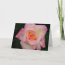 Suche nach hybrider karten Rosa