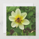 Suche nach dahlien karten Foto