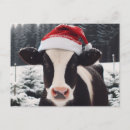 Suche nach milchkuh postkarten Niedlich