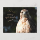 Suche nach falke postkarten Vogelbeobachtung