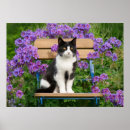 Suche nach katze mit blumen poster Für kinder