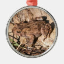 Suche nach kröten ornamente Tiere