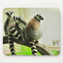 Suche nach lemuren mousepads Madagaskar