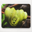 Suche nach grüne schlangen mousepads Jede person