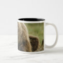 Suche nach braunbär tassen Fauna